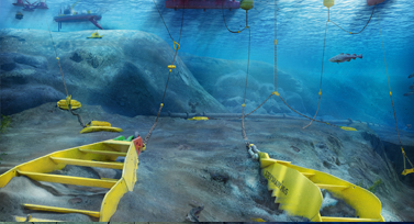 Ocean Star Eco Systems, Mooring Solutions, Marine Buoys, Marker Buoys